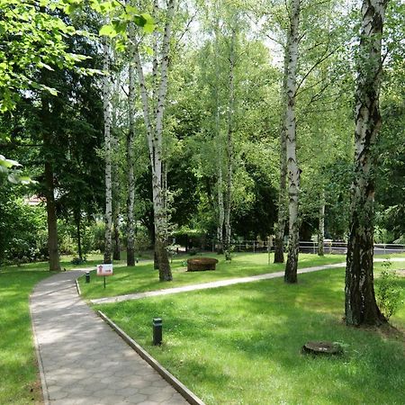 Penzion Harmony Javorník Ctyrkoly Exterior foto