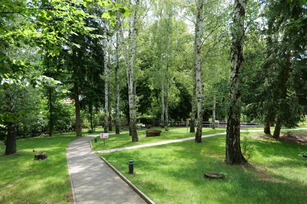 Penzion Harmony Javorník Ctyrkoly Exterior foto